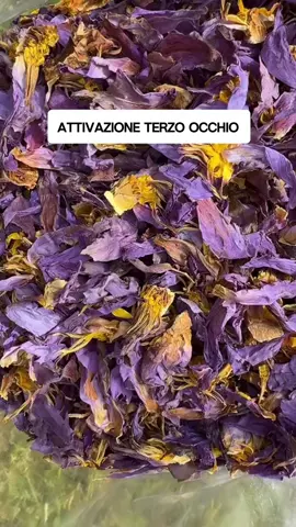 Saggezza Illuminata