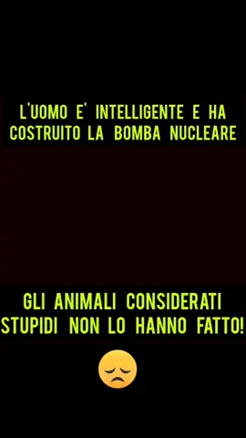Claudio Spadaro 369