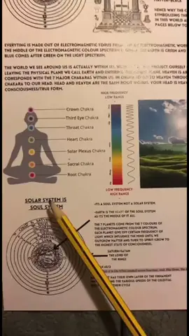 Saggezza Illuminata