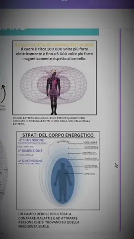 Saggezza Illuminata