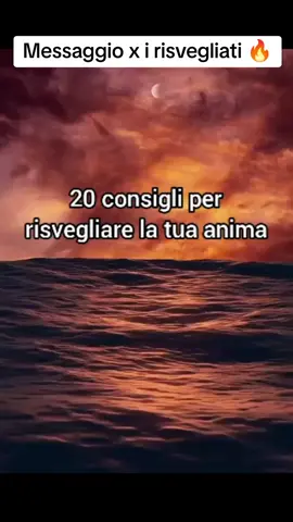 Guerriero84