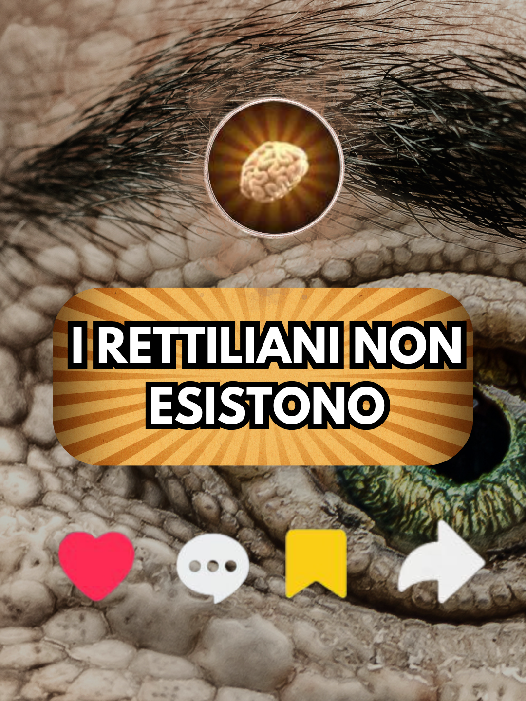 Saggezza Illuminata