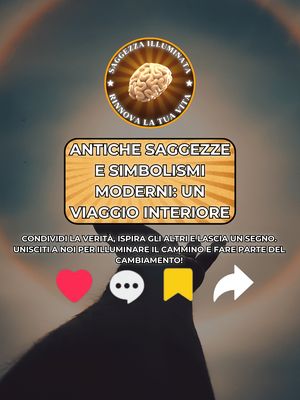 Saggezza Illuminata
