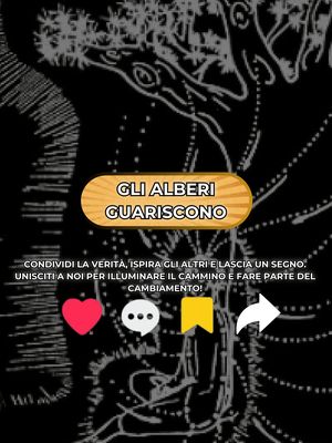 Saggezza Illuminata