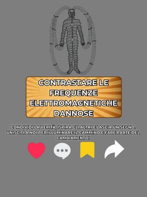 Saggezza Illuminata
